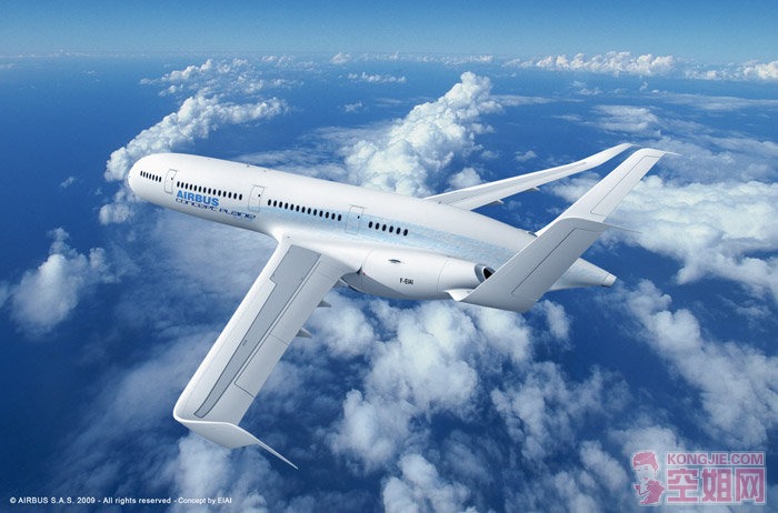 A3702.jpg