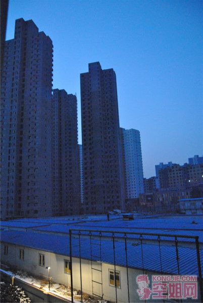 DSC_0066_ת.jpg