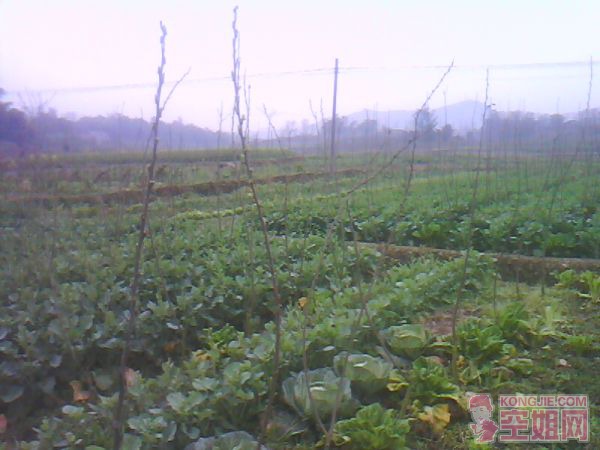 IMG0183A.jpg