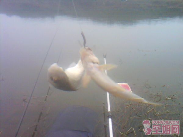 IMG0196A.jpg