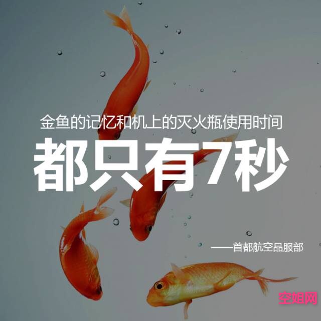 093057a9kfjp9wfyp8q7fx.jpg