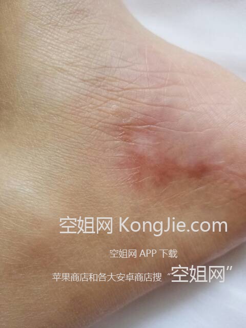 081314om7tdnone84foffg.jpg