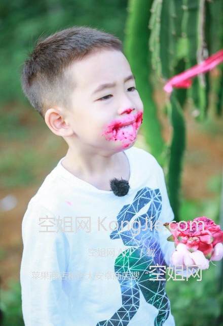 170004vp81t74ppr5zb555.jpg