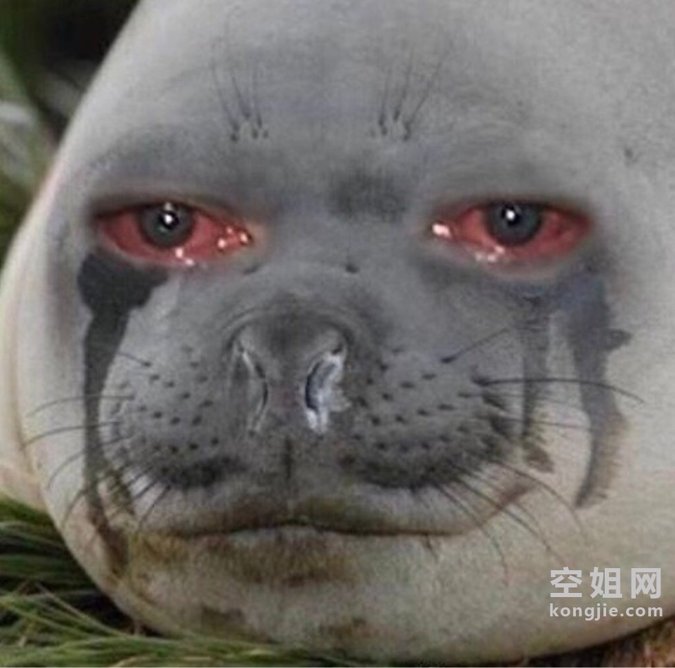 233023y00f2fpc0esteze2.jpg
